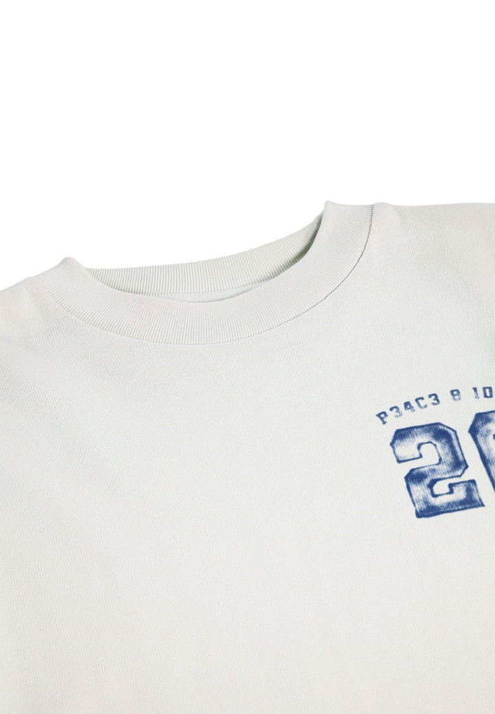 Renton Spray Numeric