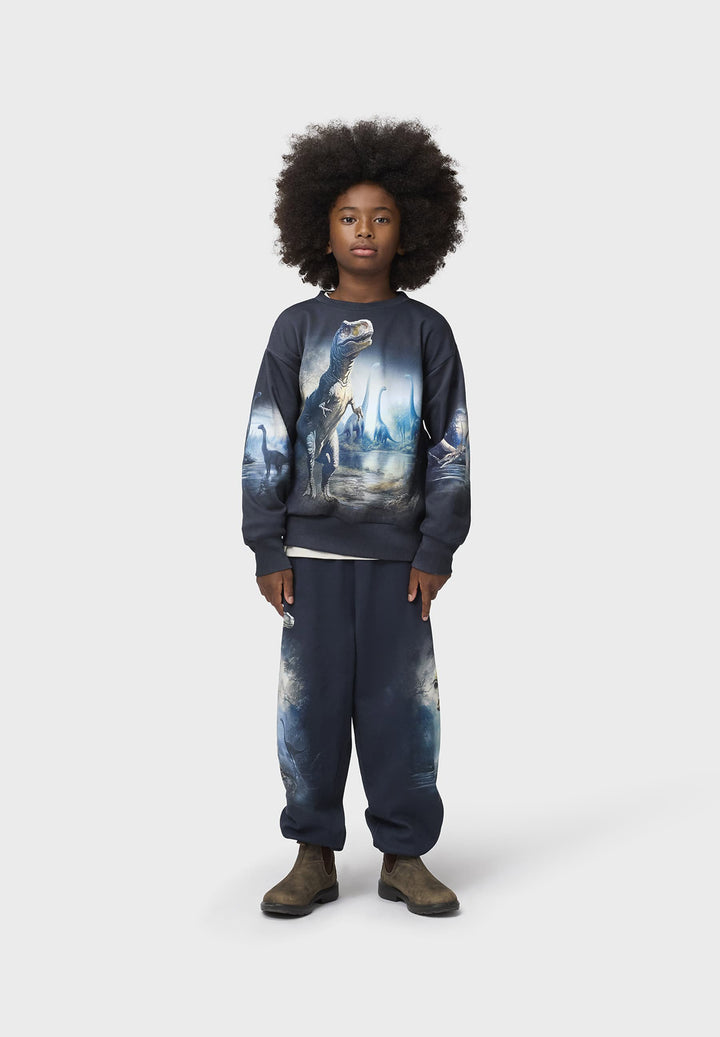 Blusa, Moonlight Rex