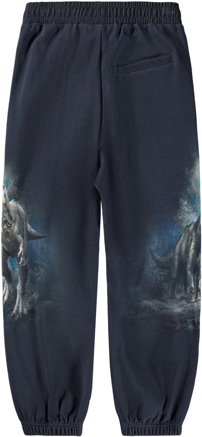 Sweatpants, Twilight Dinos