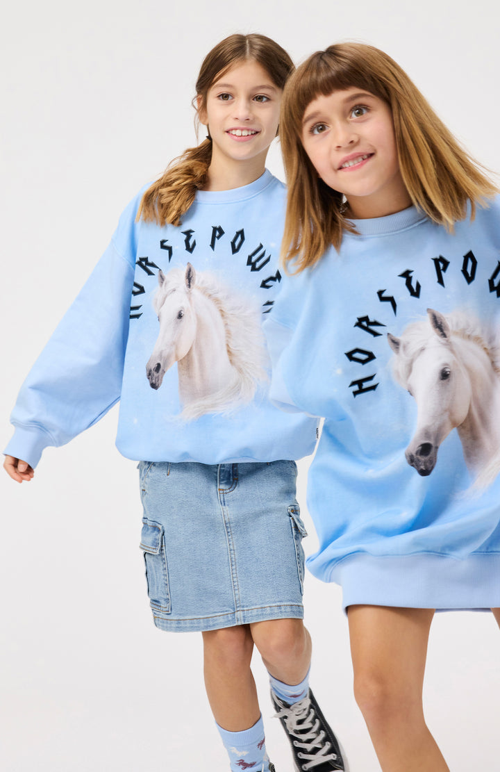 Sweatshirt HorsePower