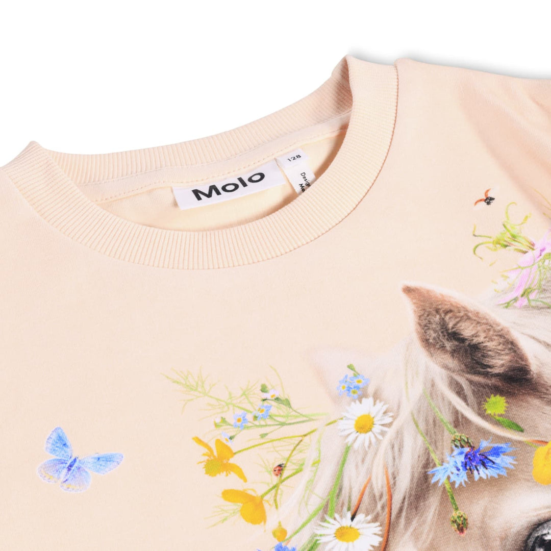 Sweatblusa, Meadow Horse