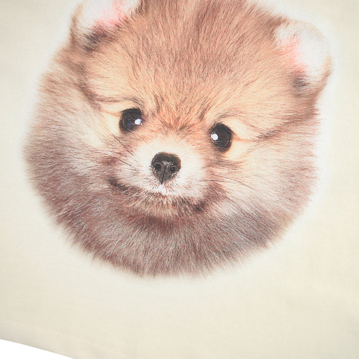 Blusa POM POMeranian