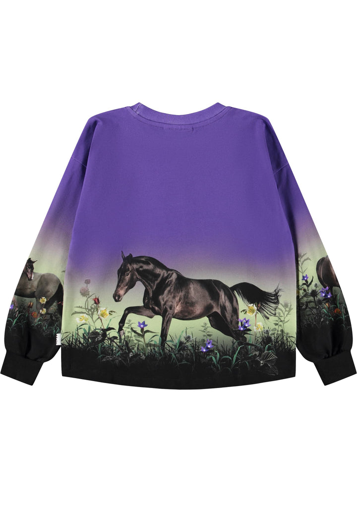 Reniza, Mystic Horses