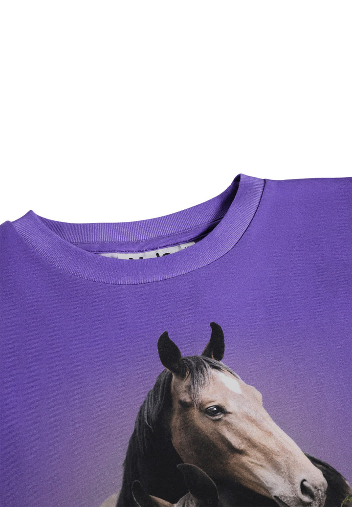 Reniza, Mystic Horses