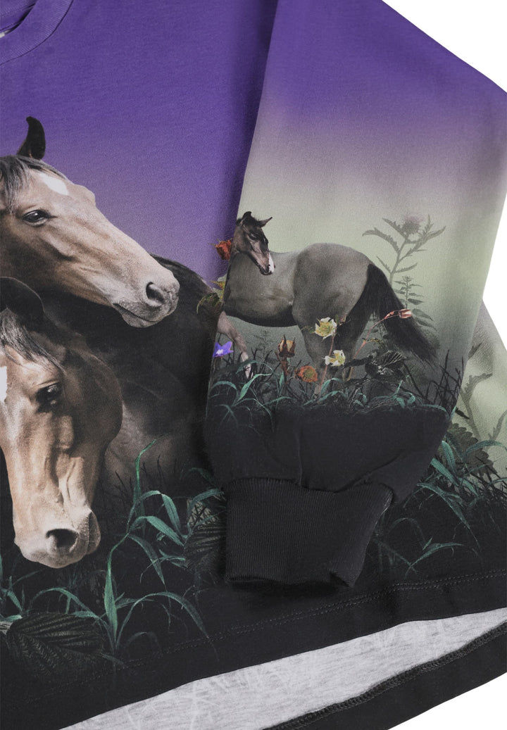 Reniza, Mystic Horses
