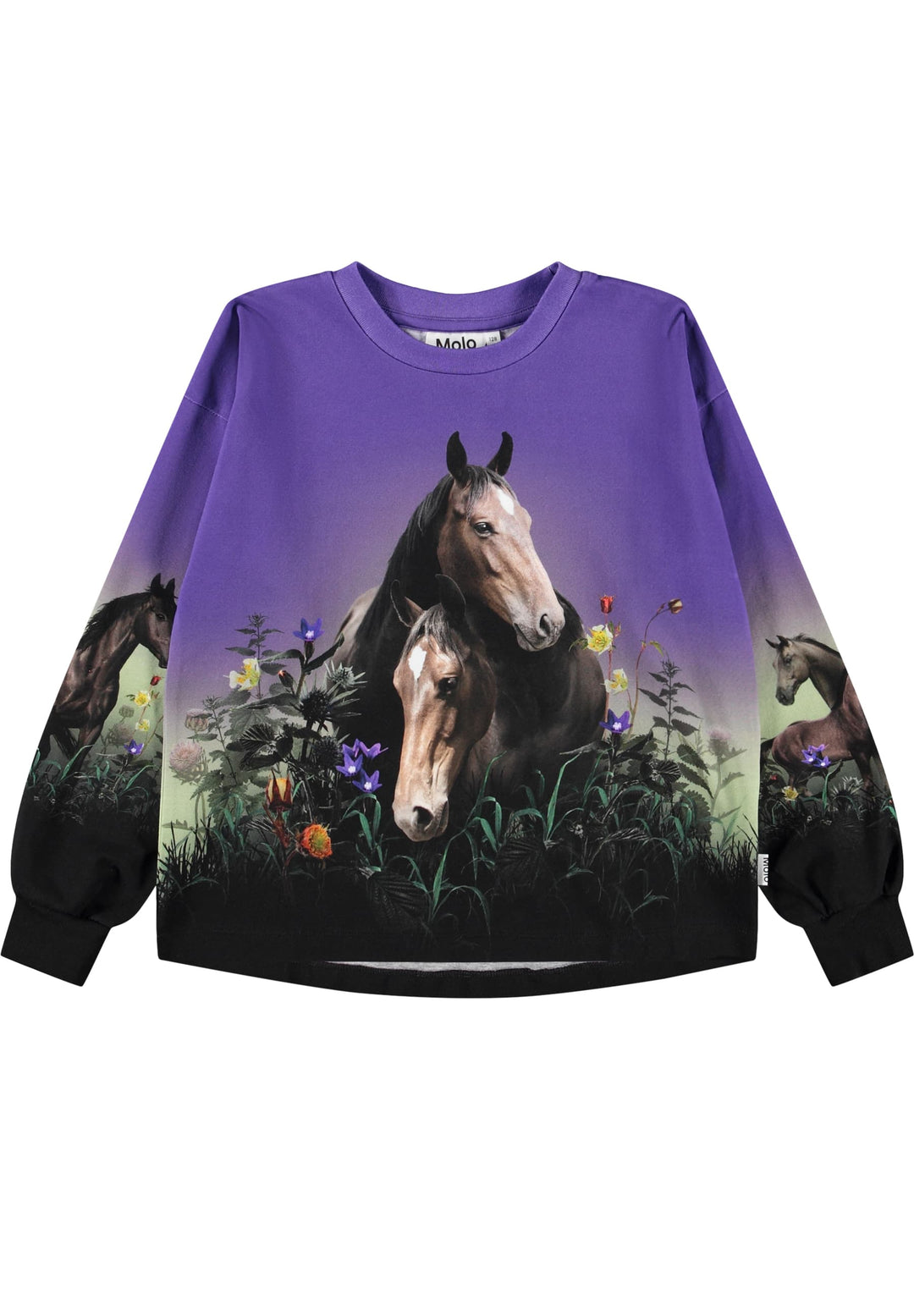 Reniza, Mystic Horses