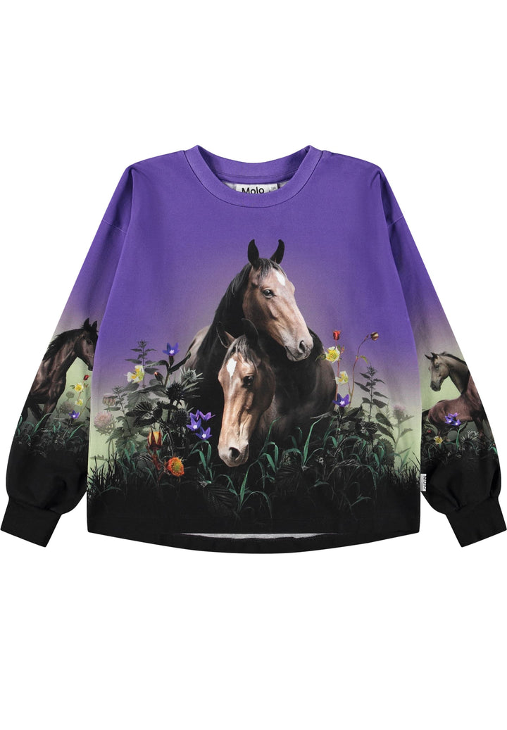 Reniza, Mystic Horses