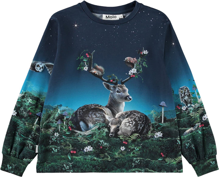 Sweatshirt, Under The Stars