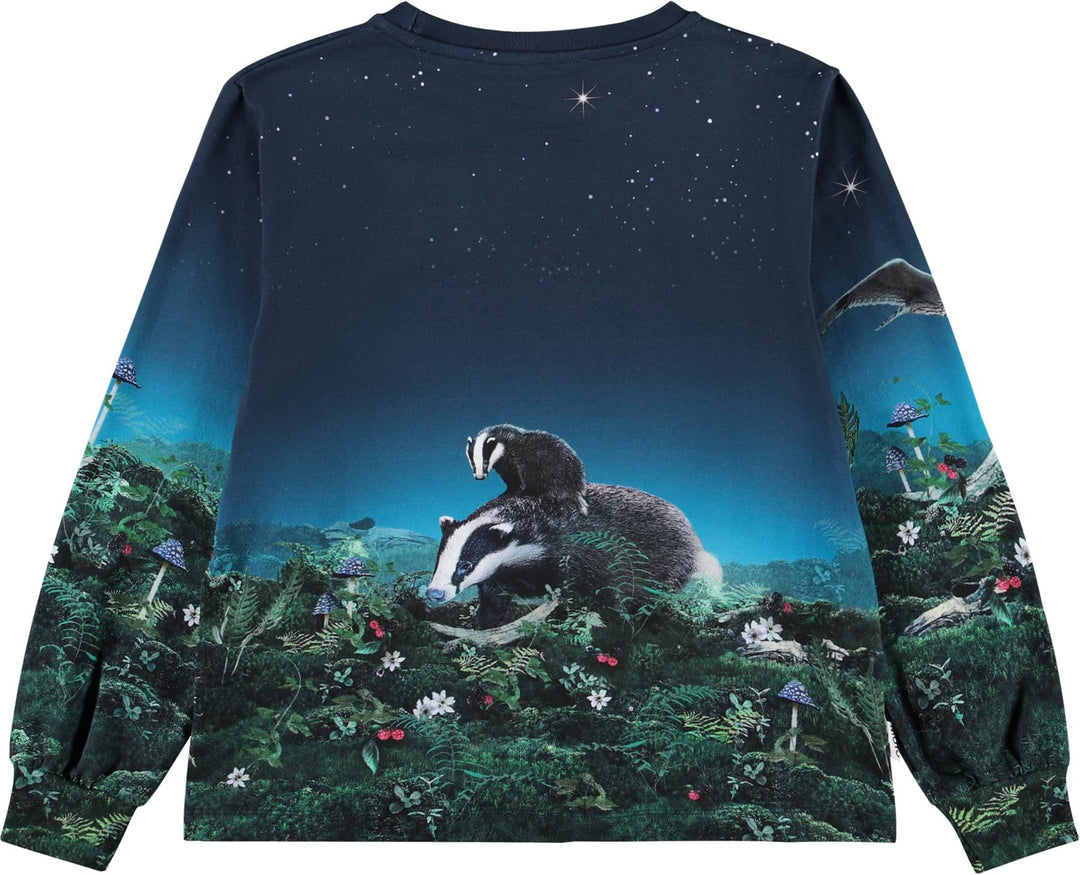 Sweatshirt, Under The Stars