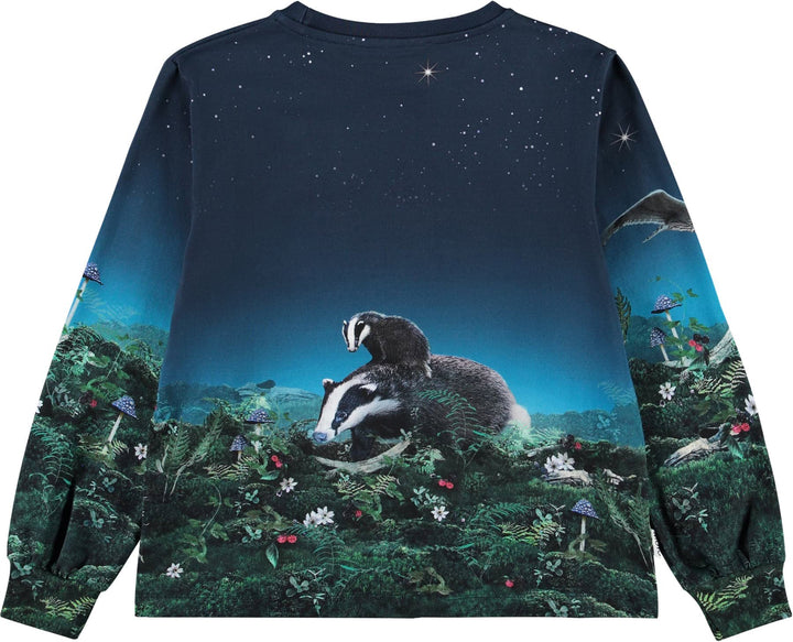 Sweatshirt, Under The Stars