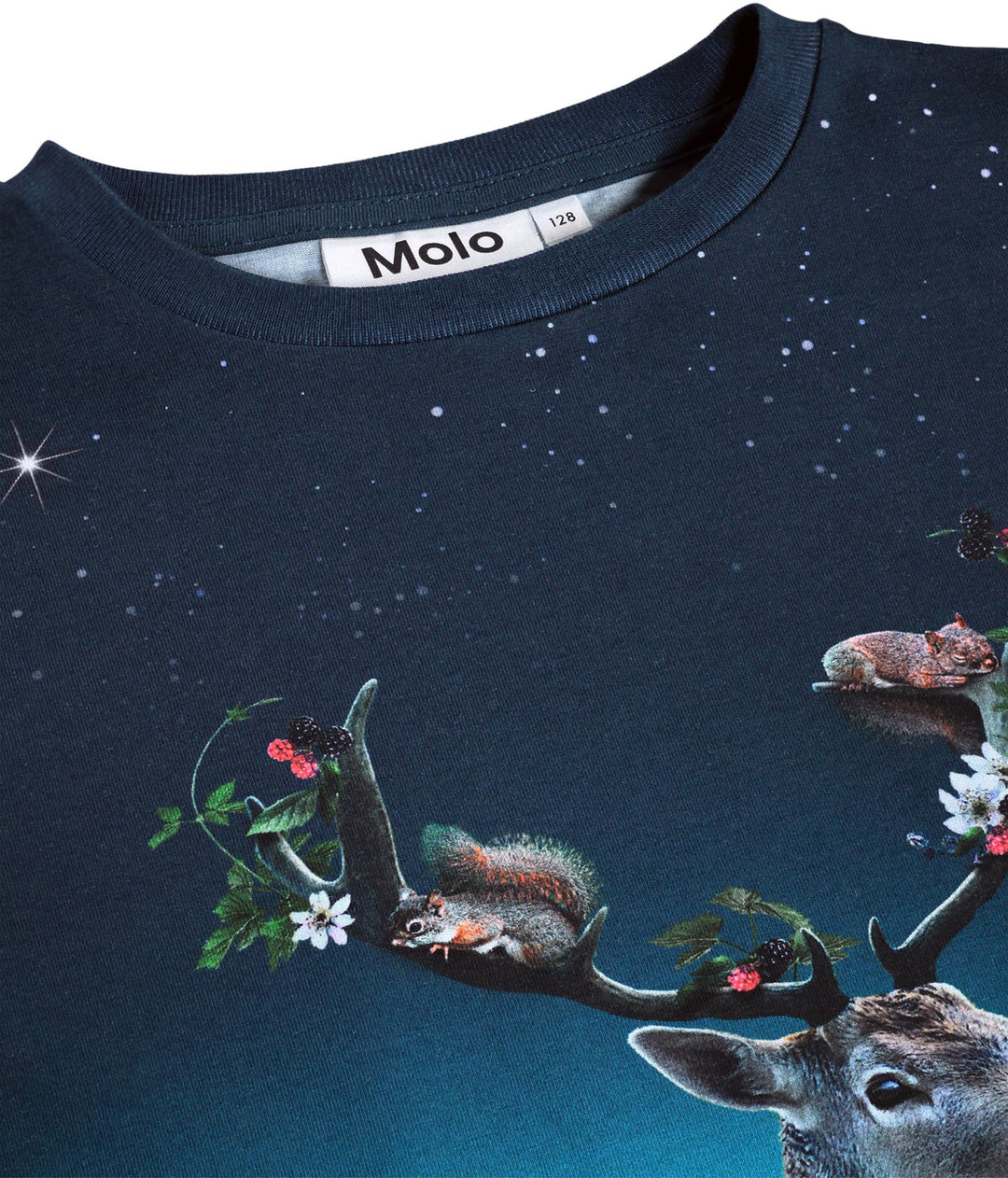 Sweatshirt, Under The Stars