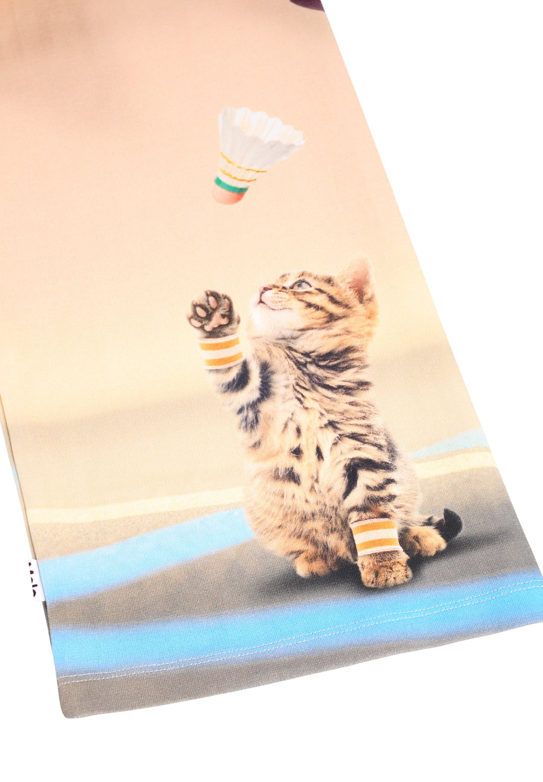 Sweatpants, Team Kittens