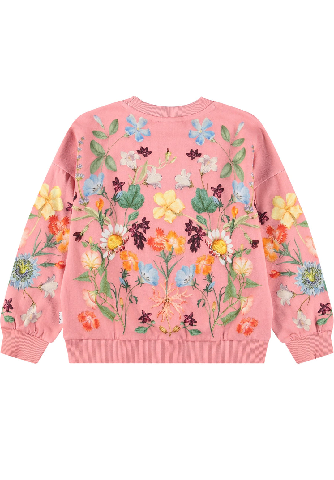 Sweatshirt, Afghan Hounds