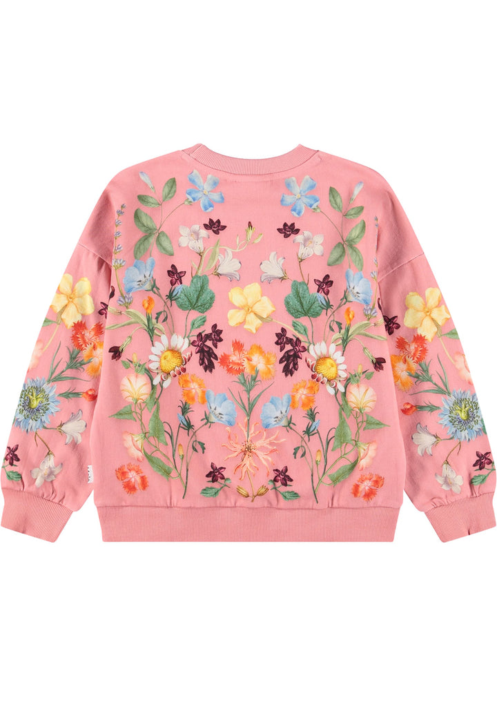 Sweatshirt, Afghan Hounds