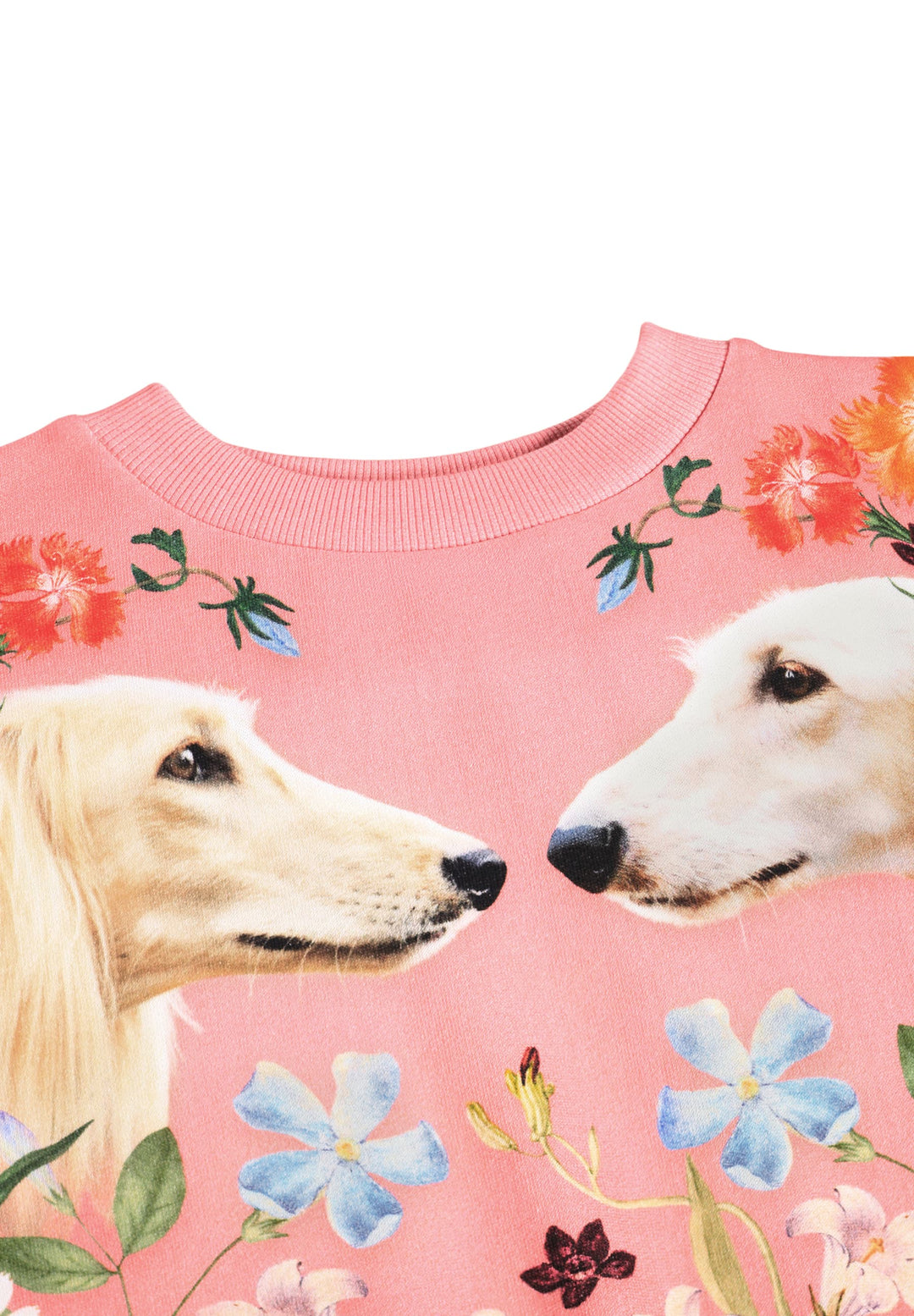 Sweatshirt, Afghan Hounds