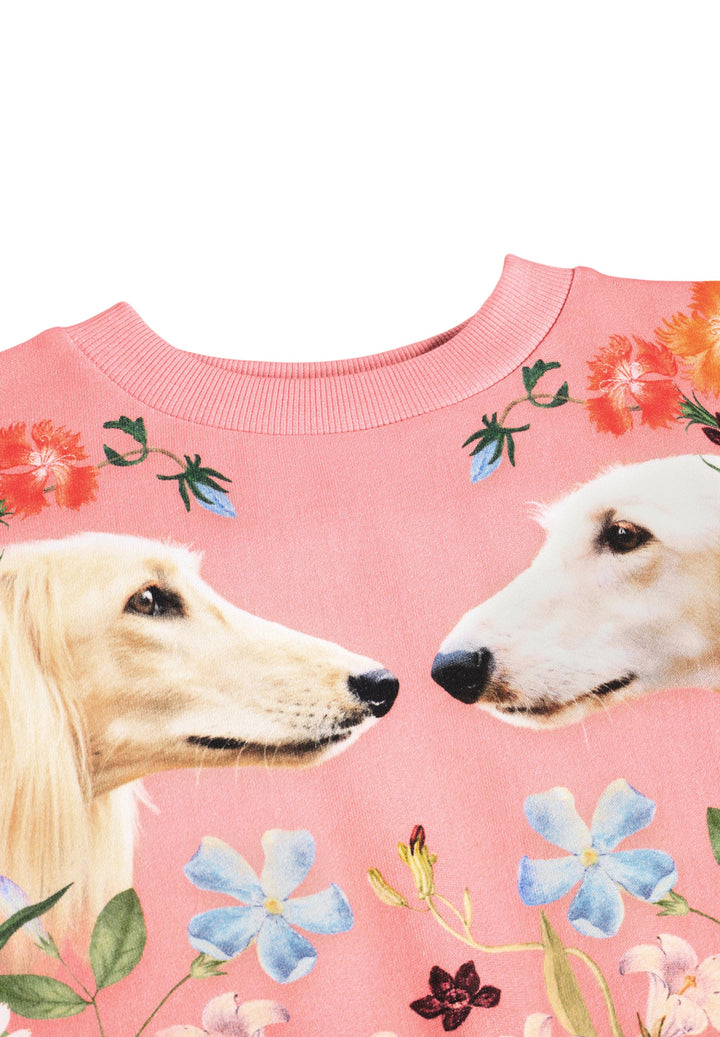 Sweatshirt, Afghan Hounds