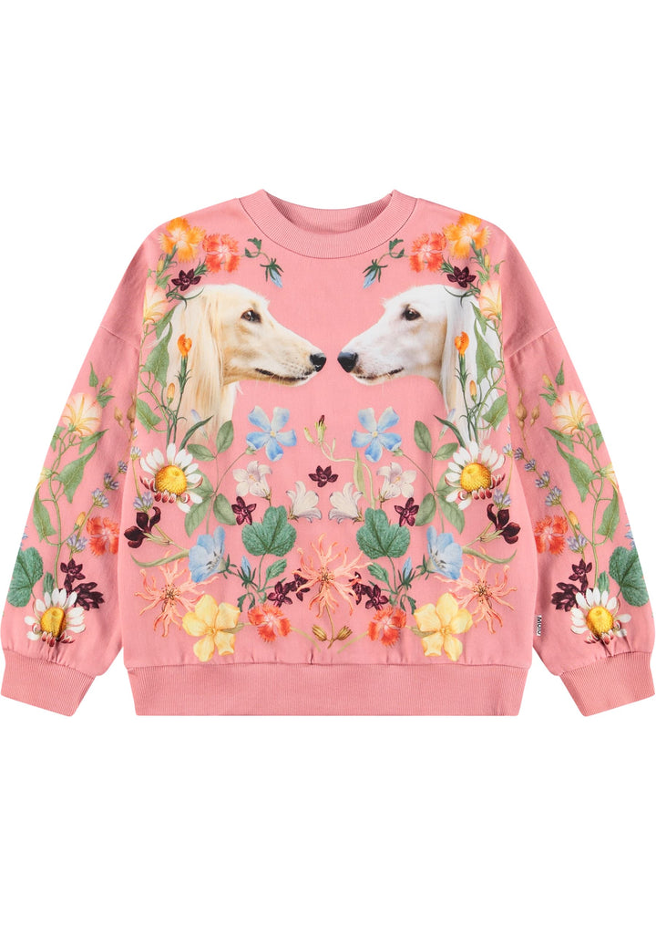Sweatshirt, Afghan Hounds