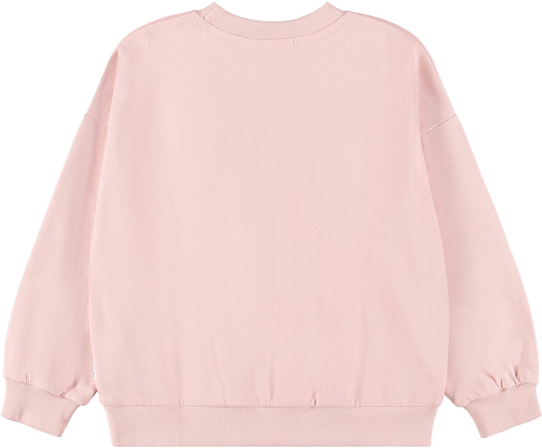 Sweatshirt, Nature Explorer