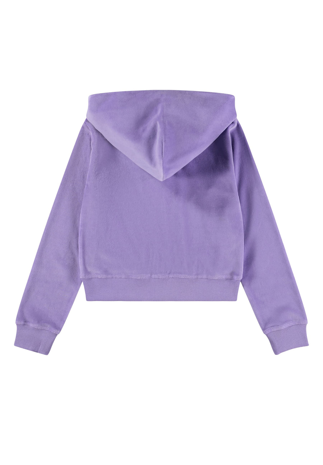 Jogging jakki, Violette
