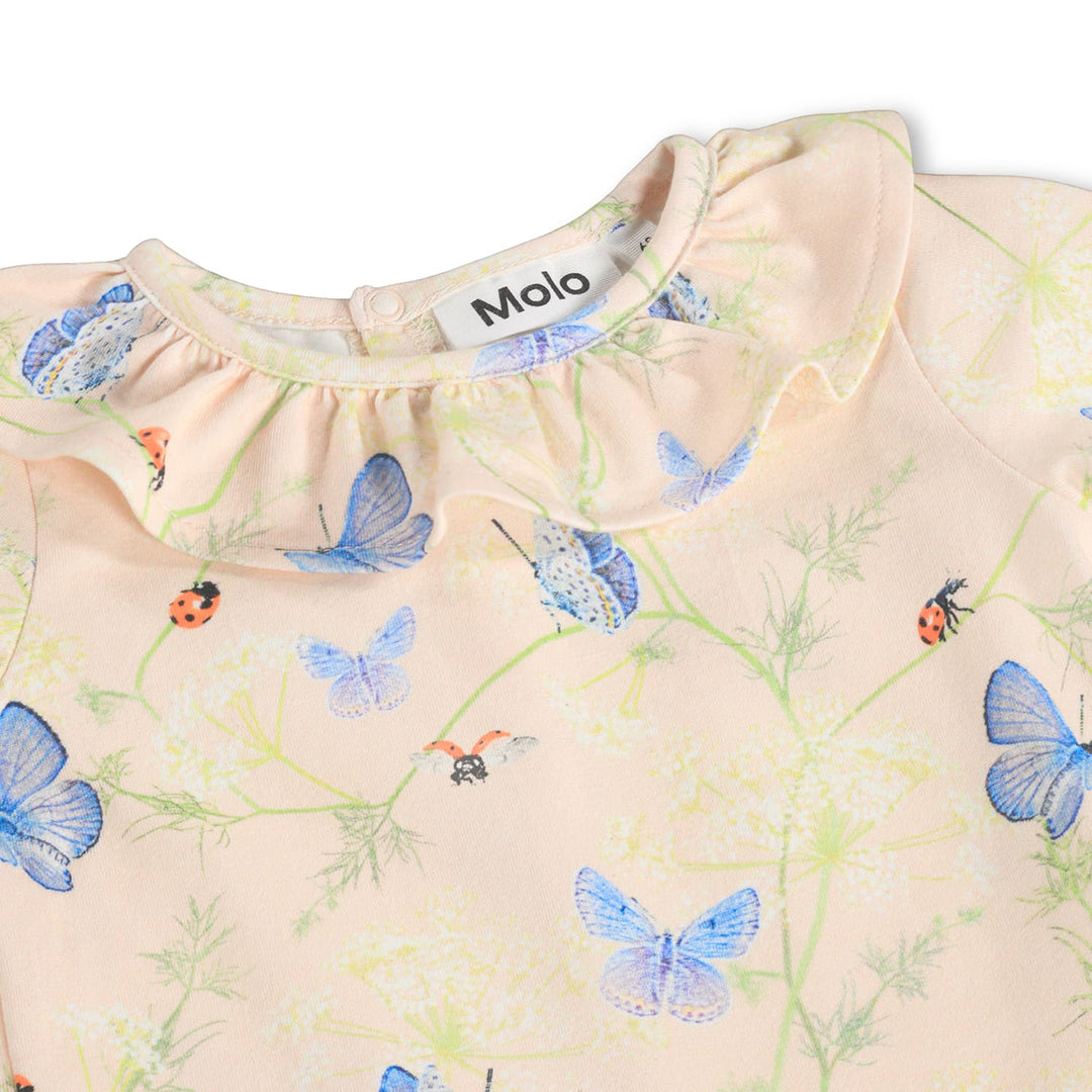 Body, Butterflys Cloud