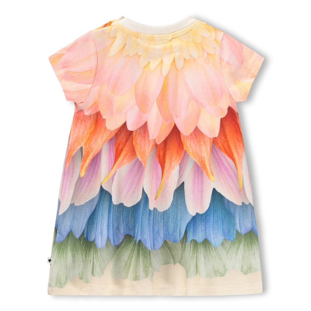 Kjóli, Bright Petals