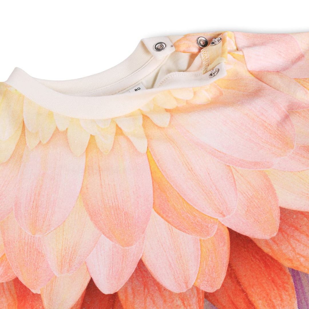 Kjóli, Bright Petals