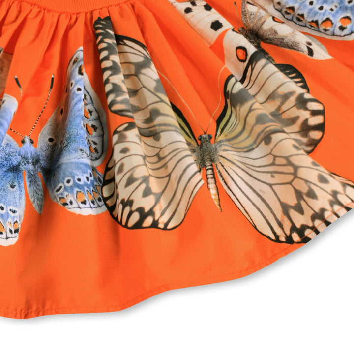 Kjóli, Fluttering