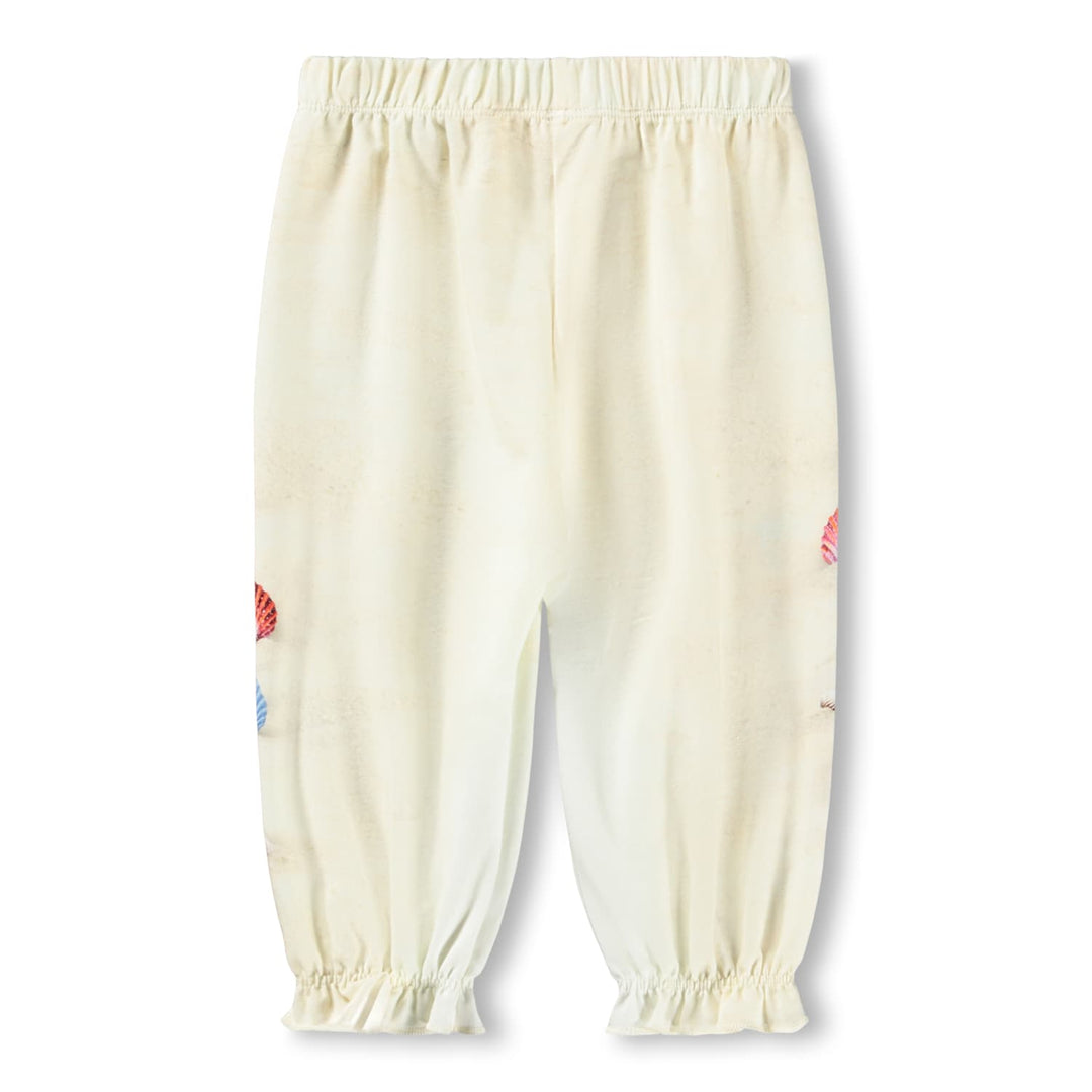 Buksur, Beach and Shells