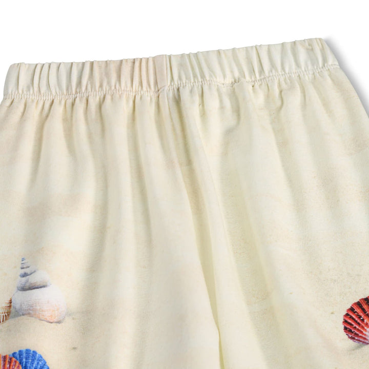 Buksur, Beach and Shells