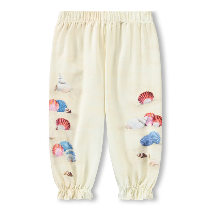 Buksur, Beach and Shells