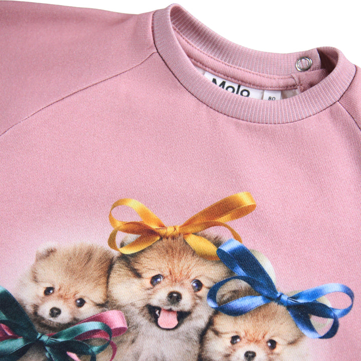 Sweatshirt Ribbon Play