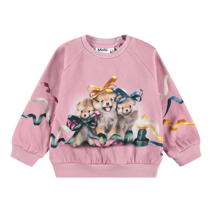 Sweatshirt Ribbon Play