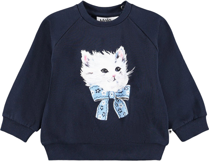 Sweatshirt, Fancy Kittens