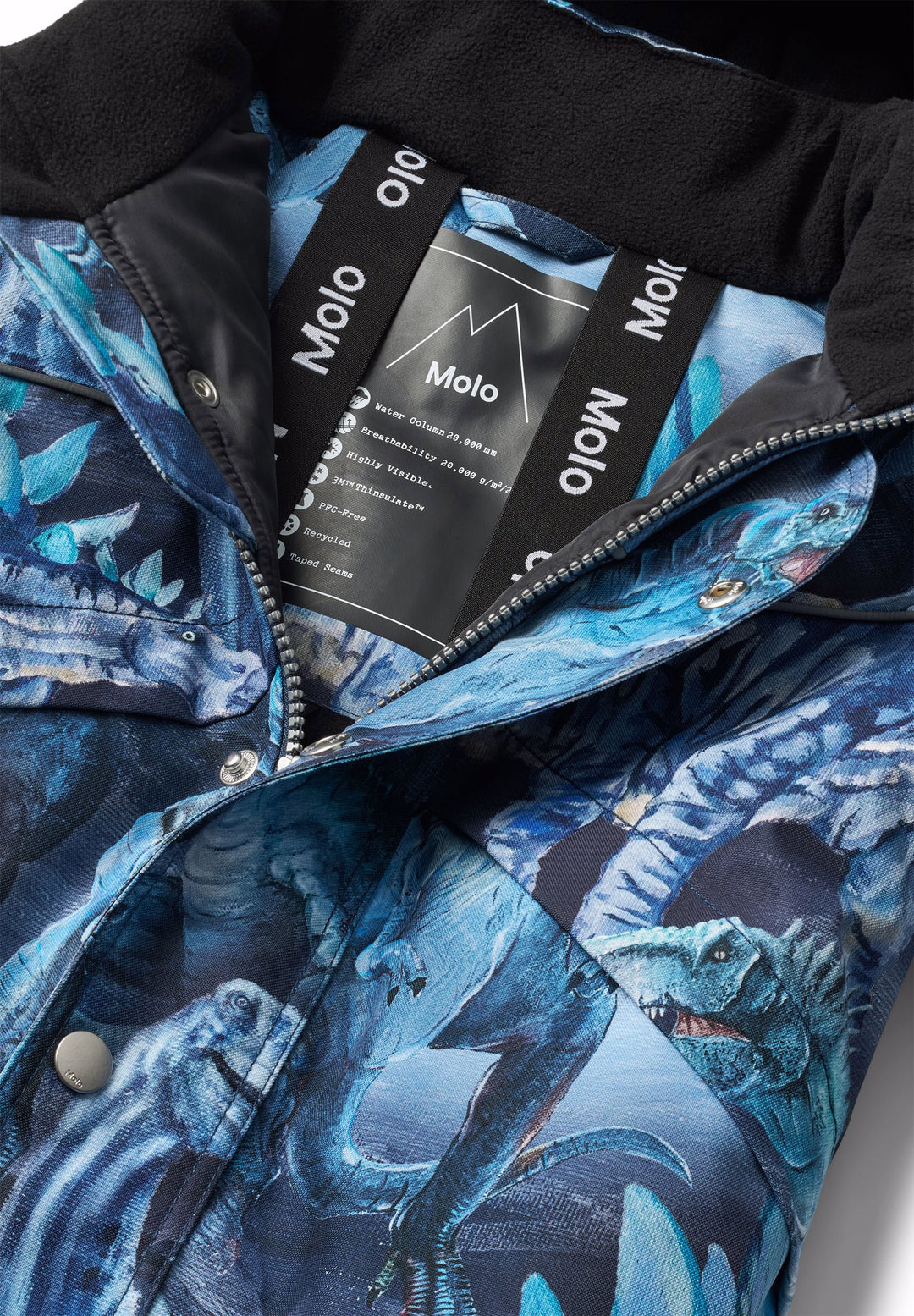 Polaris Arty Dinos