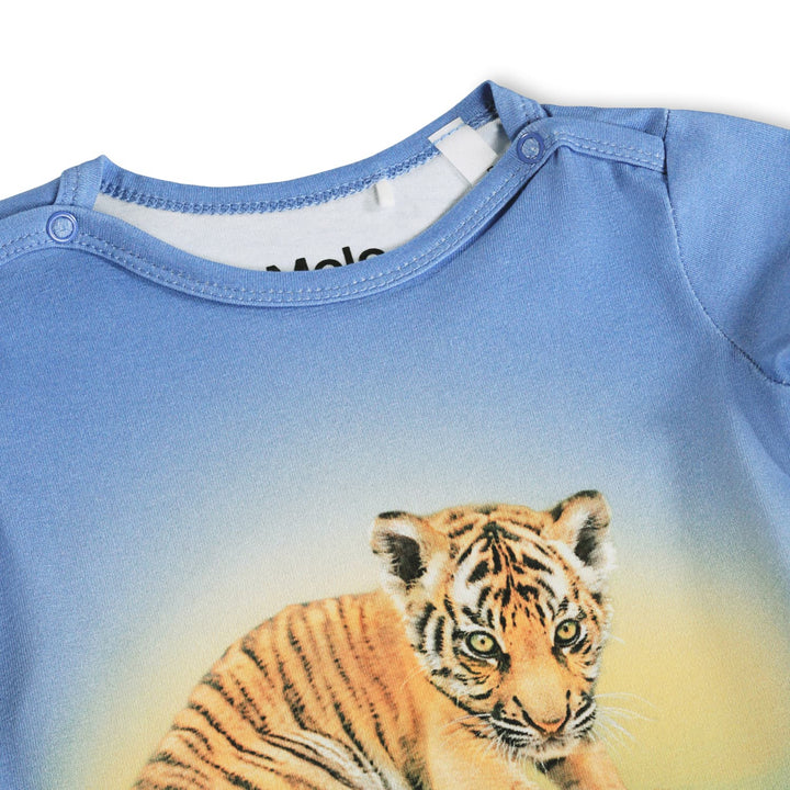Body, Tigers Cub