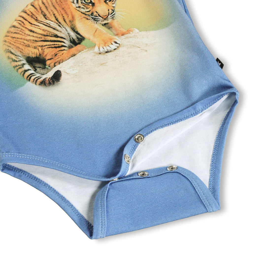 Body, Tigers Cub