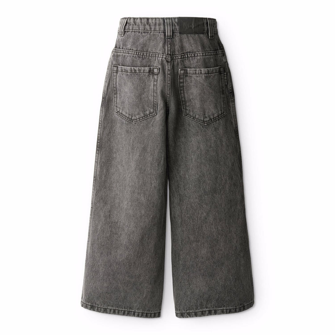 Jeans Greyish Vintage