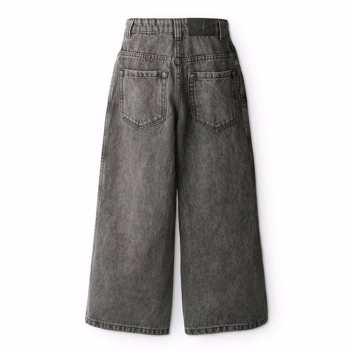 Jeans Greyish Vintage