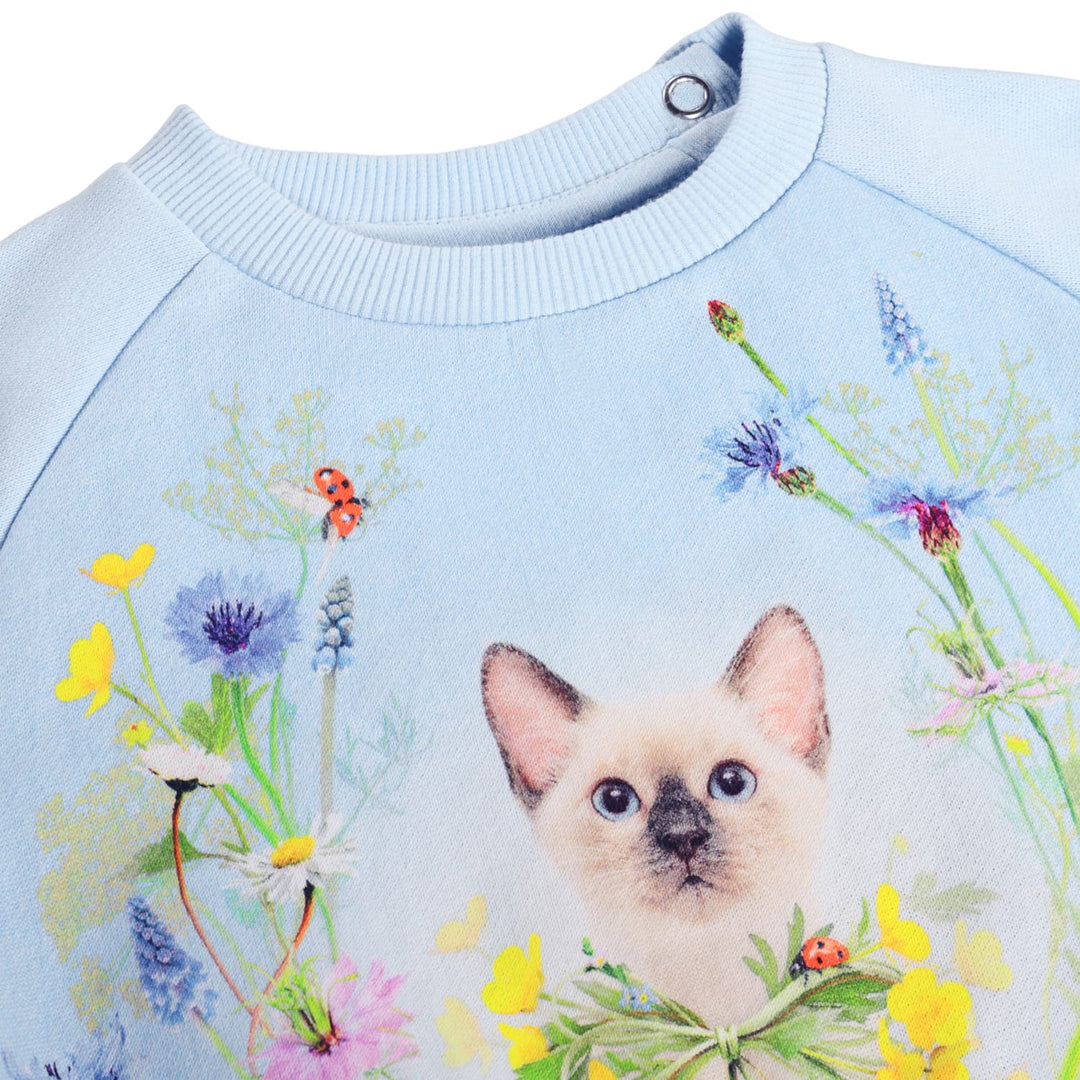 Sweatshirt, Meadow Kitten