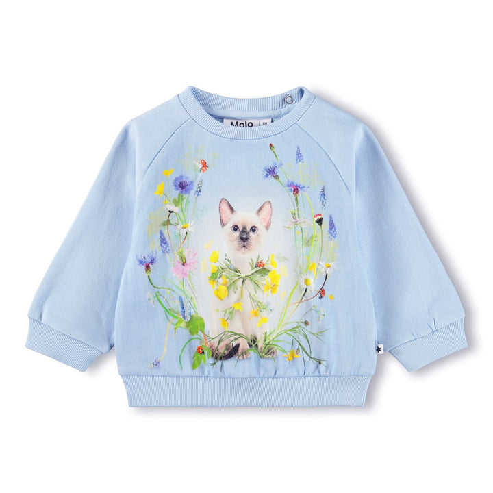 Sweatshirt, Meadow Kitten