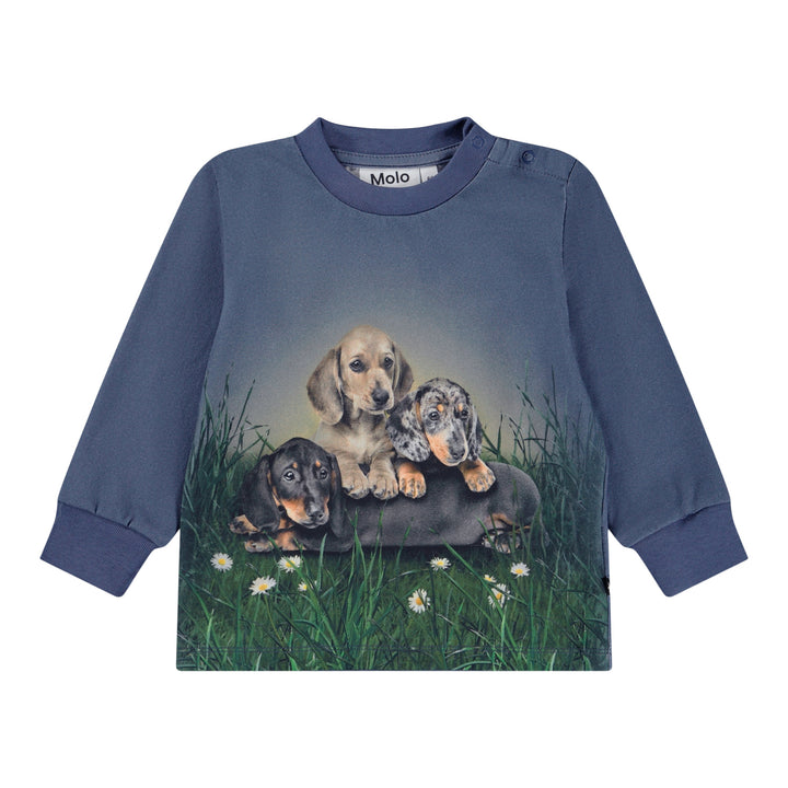 Blusa Dachshund Cubs