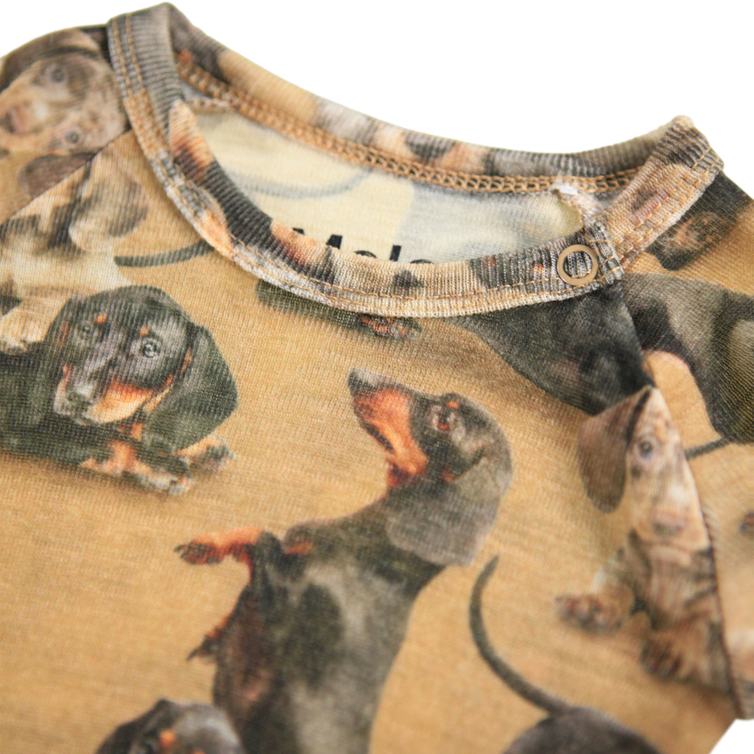 Body - Farai Wool Dachshunds