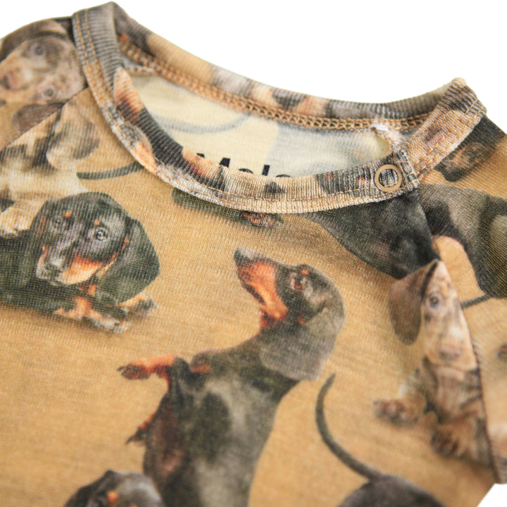 Body - Farai Wool Dachshunds