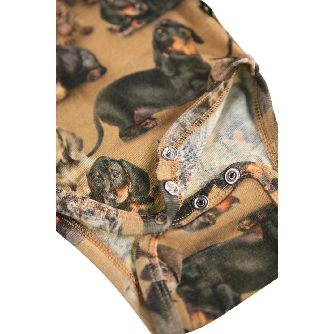 Body - Farai Wool Dachshunds