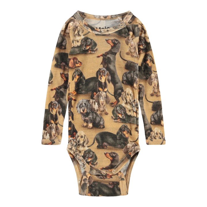 Body - Farai Wool Dachshunds