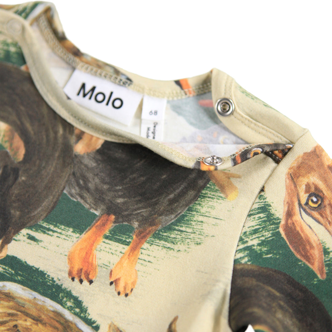 Body - Painted Dogs