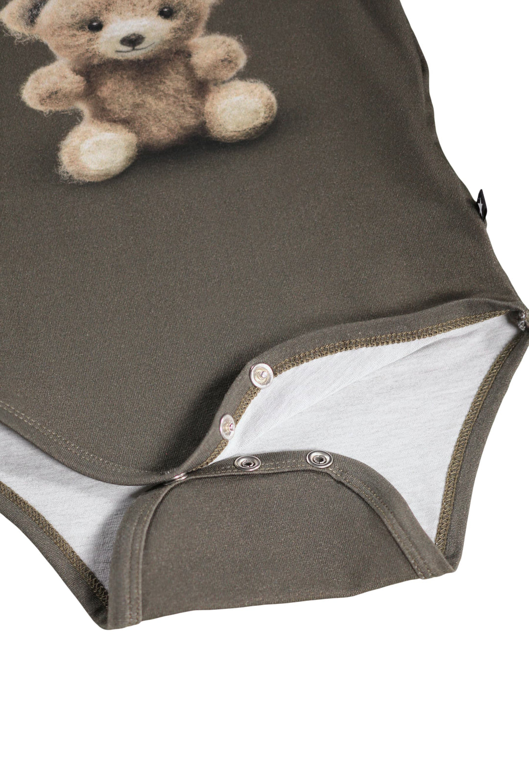 Body, Felt Bear