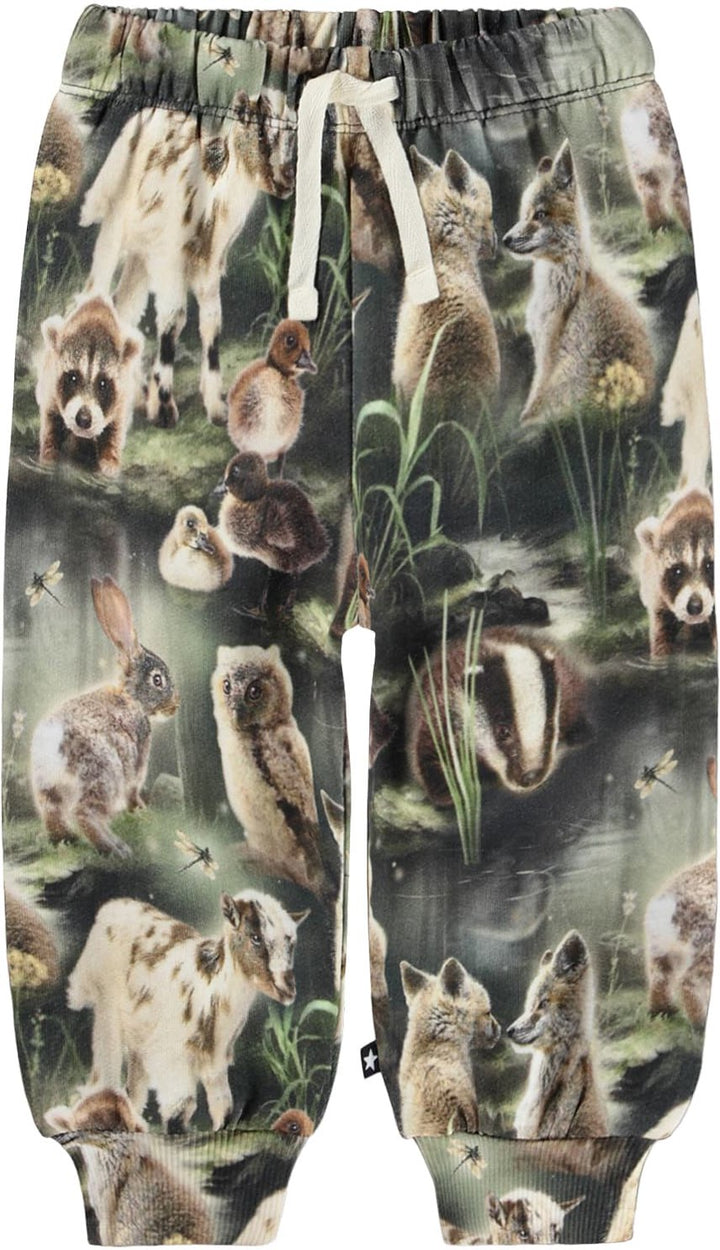 Sweatpant, Fable forest