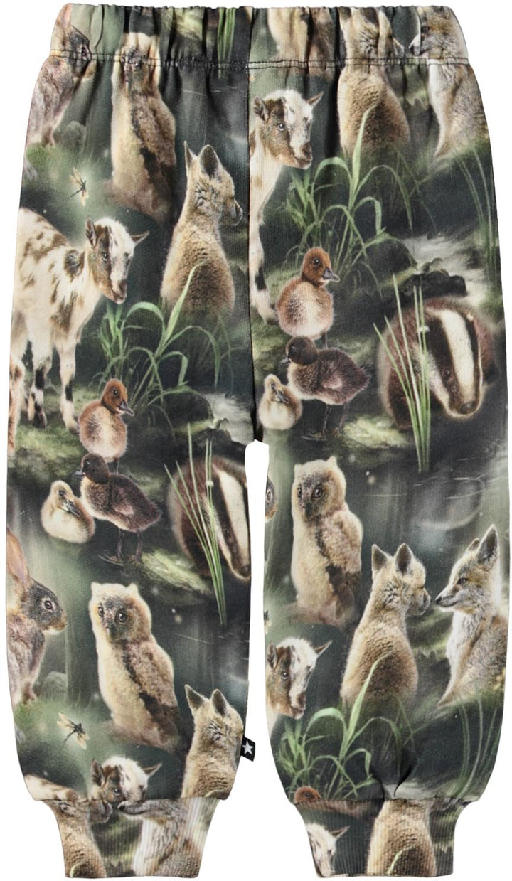 Sweatpant, Fable forest