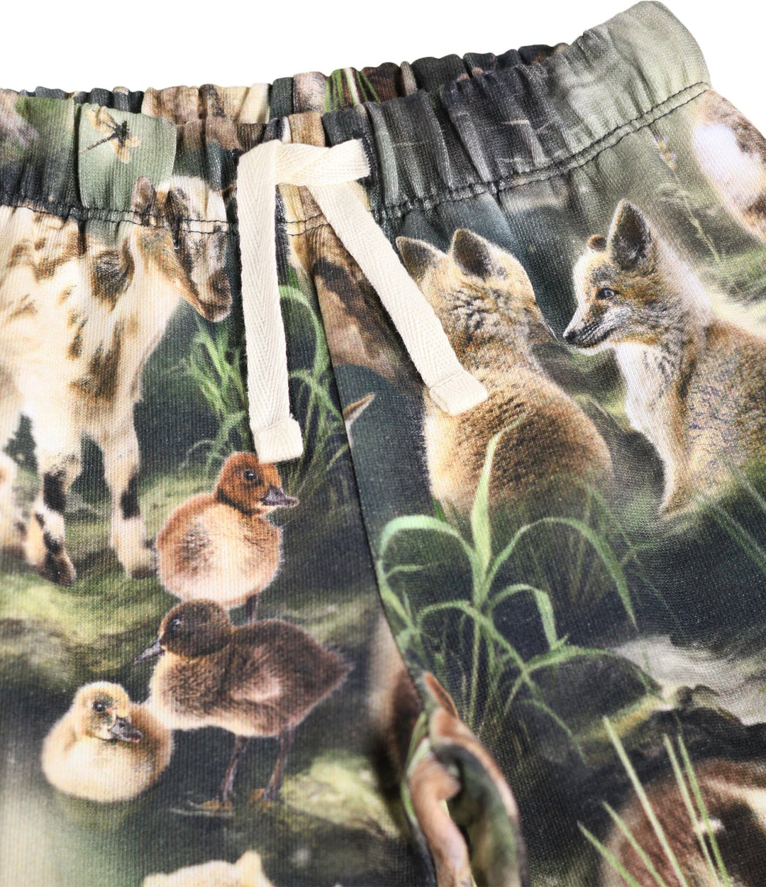 Sweatpant, Fable forest